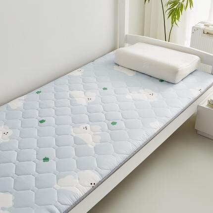 91家纺网 家纺一手货源 找家纺 （总）一禾 2023新款印花磨毛学生床垫