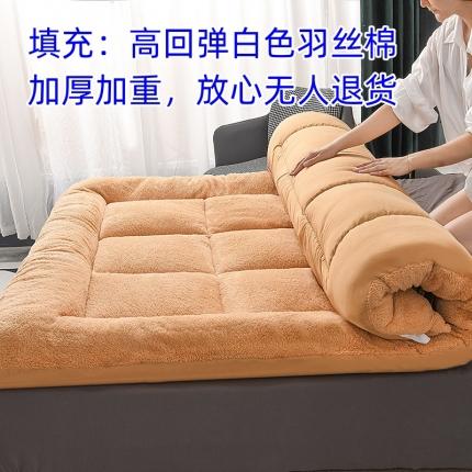 (总)无人退货-2023典伦加厚10厘米羊羔绒床垫学生宿舍床垫子
