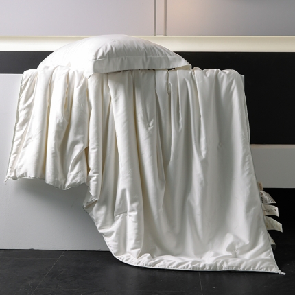 91家纺网 家纺一手货源 找家纺 假一赔三 A类国标桐乡蚕丝被100桑蚕丝子母被二合一被芯四季通用被子冬被春秋被天木兰