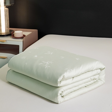 91家纺网 家纺一手货源 找家纺 假一赔三 A类国标桐乡蚕丝被100桑蚕丝子母被二合一被芯四季通用被子冬被春秋被天木兰