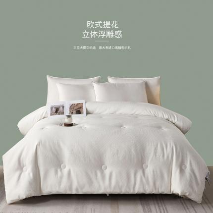 91家纺网 家纺一手货源 找家纺 丽卡家纺 2023新款高克重加厚三层大提花秋冬被被子被芯- 蒙娜丽莎