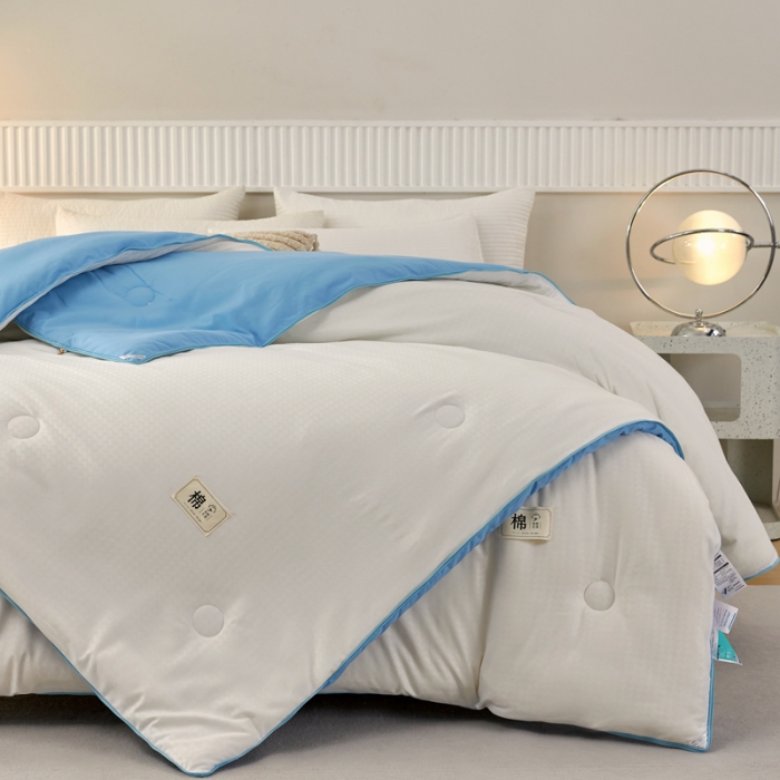 91家纺网 家纺一手货源 找家纺 2025新款原棉双拼提花大豆被二合一拉链款子母被春秋冬被子夏被学生宿舍被褥 子母被本白+天空蓝