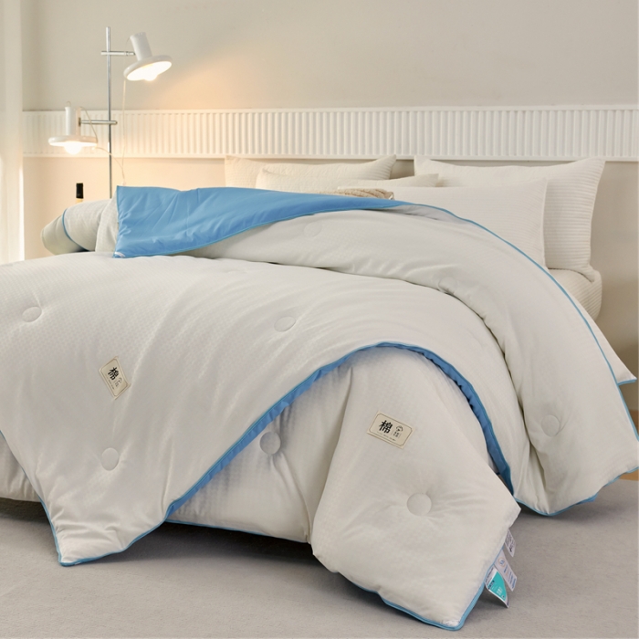 91家纺网 家纺一手货源 找家纺 2025新款原棉双拼提花大豆被二合一拉链款子母被春秋冬被子夏被学生宿舍被褥 子母被本白+天空蓝