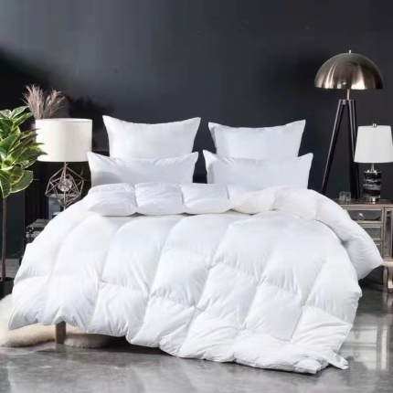 91家纺网 家纺一手货源 找家纺 静音可水洗白鸭绒春秋被子羽绒四季被芯单人儿童双人全棉加厚保暖冬季通用被