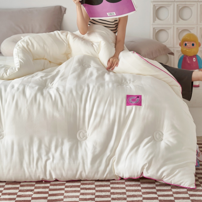 91家纺网 家纺一手货源 找家纺 莱福仕 2023新款A类杜邦防螨抗菌春秋被冬被被子被芯 维C-冰川白