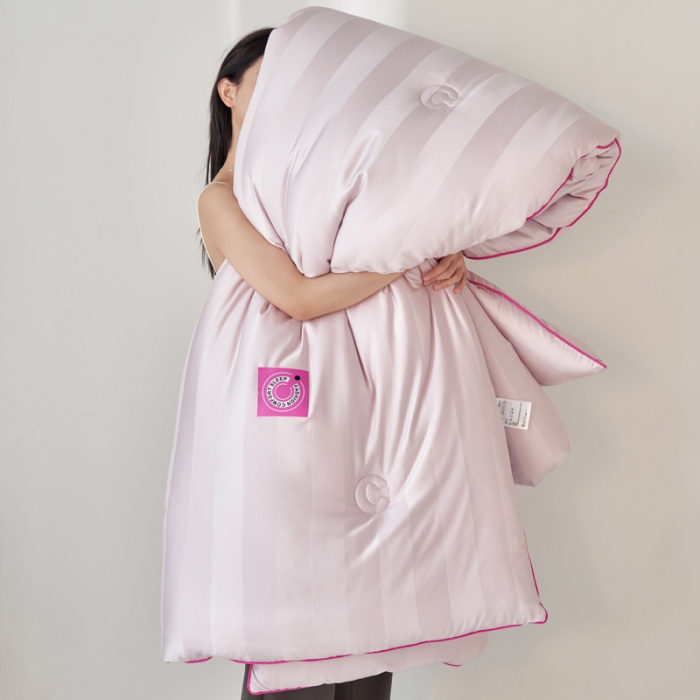 91家纺网 家纺一手货源 找家纺 莱福仕 2023新款A类杜邦防螨抗菌春秋被冬被被子被芯 维C-浅烟紫