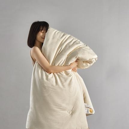 91家纺网 家纺一手货源 找家纺 (总) 丽笙被芯 2023新款A类80复合金豆被冬被春秋被被芯