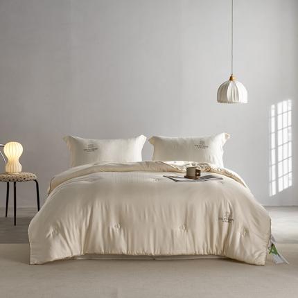 91家纺网 家纺一手货源 找家纺 (总) 丽笙被芯  2022新款豆玺70大豆被夏被春秋被冬被子被芯