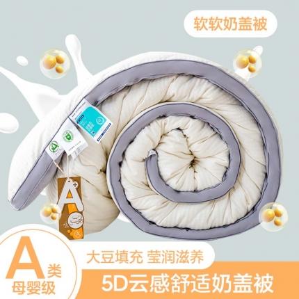 2024新款（有质检）爆款A类抗菌5D云感烫金立体边大豆被春秋被冬被 高级灰