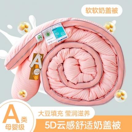 2024新款（有质检）爆款A类抗菌5D云感烫金立体边大豆被春秋被冬被 泡泡纱玉