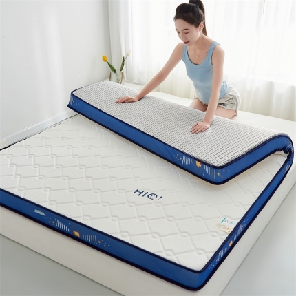 （总）乐蓝尼床垫  2023新款牛奶丝乳胶记忆海绵双人床垫