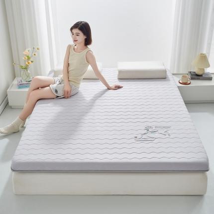 祁恋婷 2023新款A类牛奶丝大豆纤维床垫【床垫遮盖物】刺绣专版 月光灰