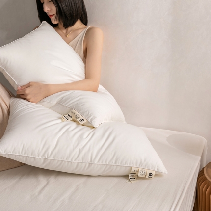 （总）她喜爱枕头枕芯 2023新款日式至简本色A类枕