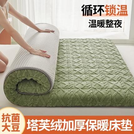 锦丝钰床垫 2023新款塔芙绒抗菌大豆纤维加厚床垫 果绿