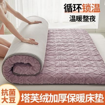 锦丝钰床垫 2023新款塔芙绒抗菌大豆纤维加厚床垫 粉紫