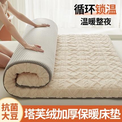 锦丝钰床垫 2023新款塔芙绒抗菌大豆纤维加厚床垫 米白