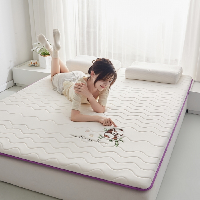 91家纺网 家纺一手货源 找家纺 （总）祁恋婷家居 2023新款A类专版乳胶记忆棉大豆床垫【床垫遮盖物】-款式一