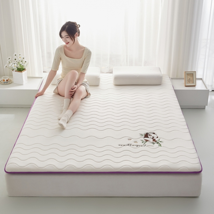 91家纺网 家纺一手货源 找家纺 （总）祁恋婷家居 2023新款A类专版乳胶记忆棉大豆床垫【床垫遮盖物】-款式一