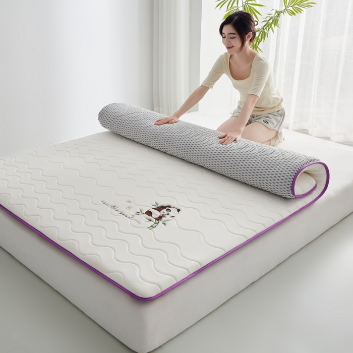 91家纺网 家纺一手货源 找家纺 （总）祁恋婷家居 2023新款A类专版乳胶记忆棉大豆床垫【床垫遮盖物】-款式一