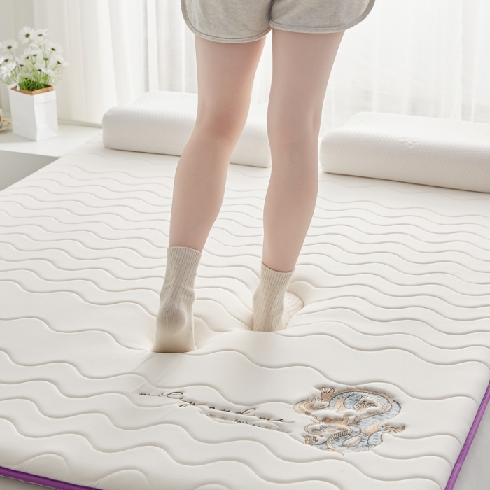 91家纺网 家纺一手货源 找家纺 祁恋婷家居 2023新款A类专版乳胶记忆棉大豆床垫【床垫遮盖物】-款式一 中国龙-白