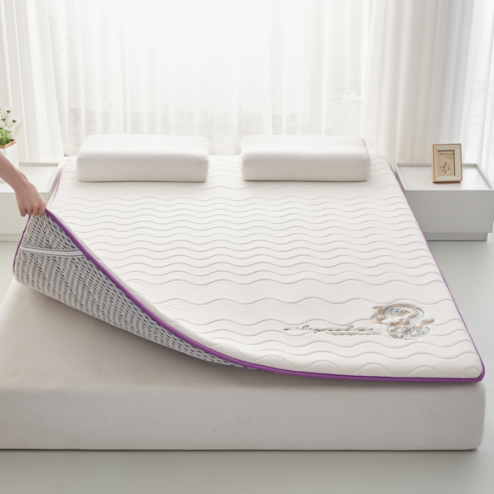 91家纺网 家纺一手货源 找家纺 祁恋婷家居 2023新款A类专版乳胶记忆棉大豆床垫【床垫遮盖物】-款式一 中国龙-白