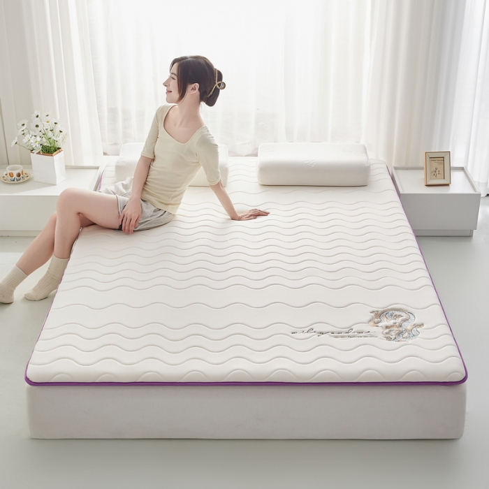 91家纺网 家纺一手货源 找家纺 祁恋婷家居 2023新款A类专版乳胶记忆棉大豆床垫【床垫遮盖物】-款式一 中国龙-白