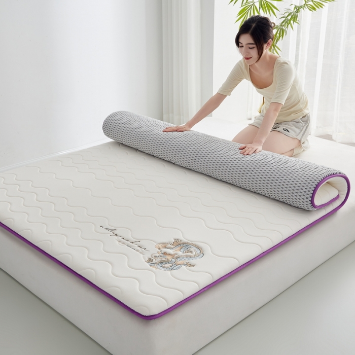 91家纺网 家纺一手货源 找家纺 祁恋婷家居 2023新款A类专版乳胶记忆棉大豆床垫【床垫遮盖物】-款式一 中国龙-白