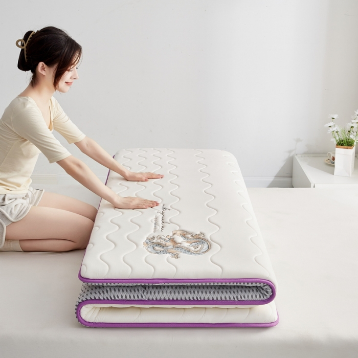 91家纺网 家纺一手货源 找家纺 祁恋婷家居 2023新款A类专版乳胶记忆棉大豆床垫【床垫遮盖物】-款式一 中国龙-白