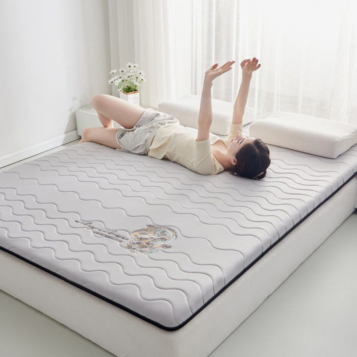 91家纺网 家纺一手货源 找家纺 祁恋婷家居 2023新款A类专版乳胶记忆棉大豆床垫【床垫遮盖物】-款式一 中国龙-灰