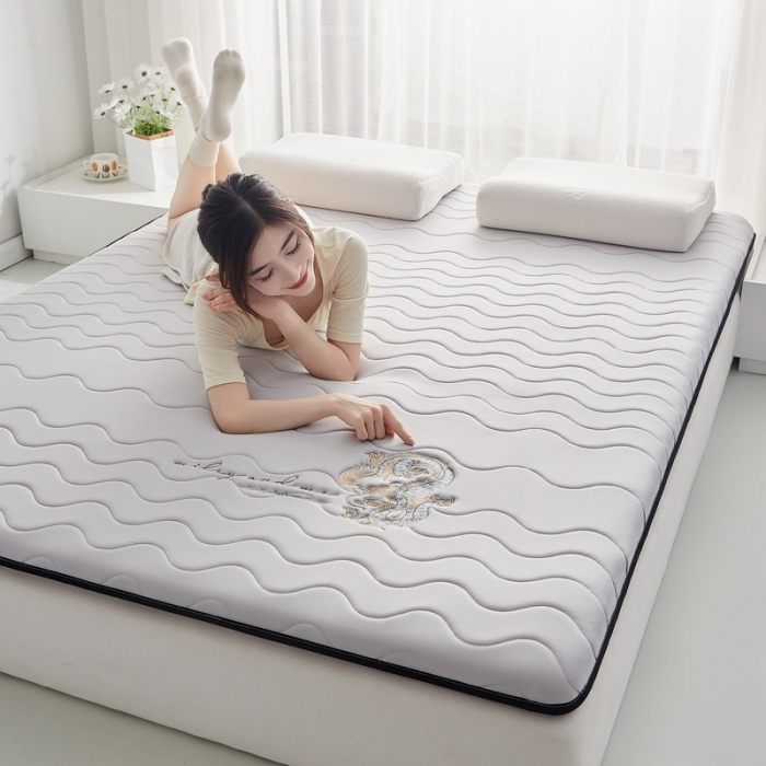 91家纺网 家纺一手货源 找家纺 祁恋婷家居 2023新款A类专版乳胶记忆棉大豆床垫【床垫遮盖物】-款式一 中国龙-灰