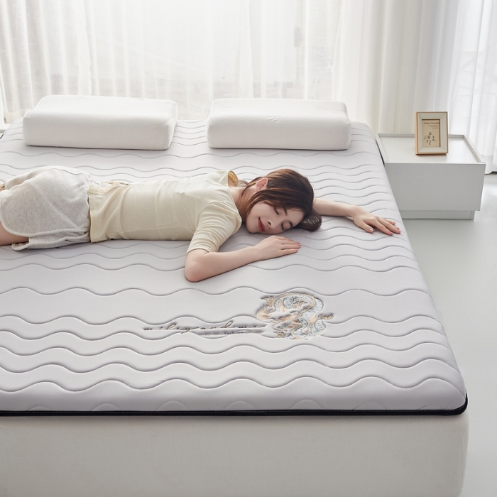 91家纺网 家纺一手货源 找家纺 祁恋婷家居 2023新款A类专版乳胶记忆棉大豆床垫【床垫遮盖物】-款式一 中国龙-灰