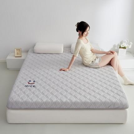 91家纺网 家纺一手货源 找家纺 （总）祁恋婷家居 2023新款A类专版乳胶记忆棉大豆床垫【床垫遮盖物】-款式二