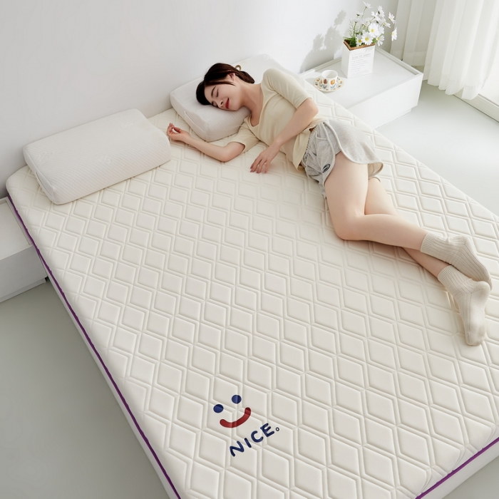 91家纺网 家纺一手货源 找家纺 （总）祁恋婷家居 2023新款A类专版乳胶记忆棉大豆床垫【床垫遮盖物】-款式二