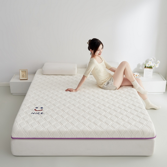 91家纺网 家纺一手货源 找家纺 （总）祁恋婷家居 2023新款A类专版乳胶记忆棉大豆床垫【床垫遮盖物】-款式二