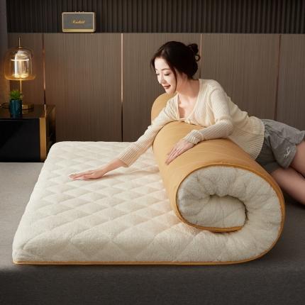 91家纺网 家纺一手货源 找家纺 （总）祁恋婷家居 2023新款羊羔绒保暖床垫【床垫遮盖物】