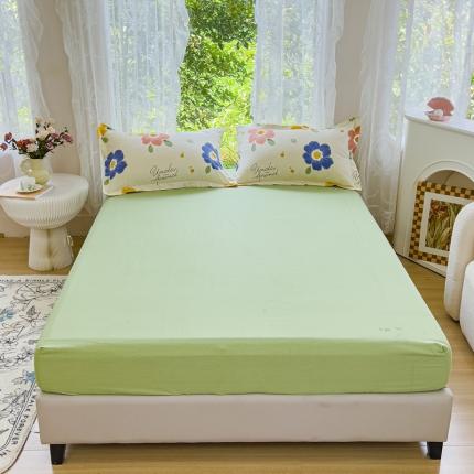 伊而梦 2023新款全棉磨毛印花四件套系列单品床笠 绿色