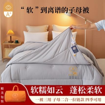 瑜珠2025超柔云感拉链二合一大豆被子母被冬被春秋被 灰色