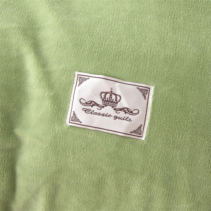 91家纺网 家纺一手货源 找家纺 畅畅 2023新款加厚260克全消光牛奶棉印花臻棉绒四件套 抹茶绿