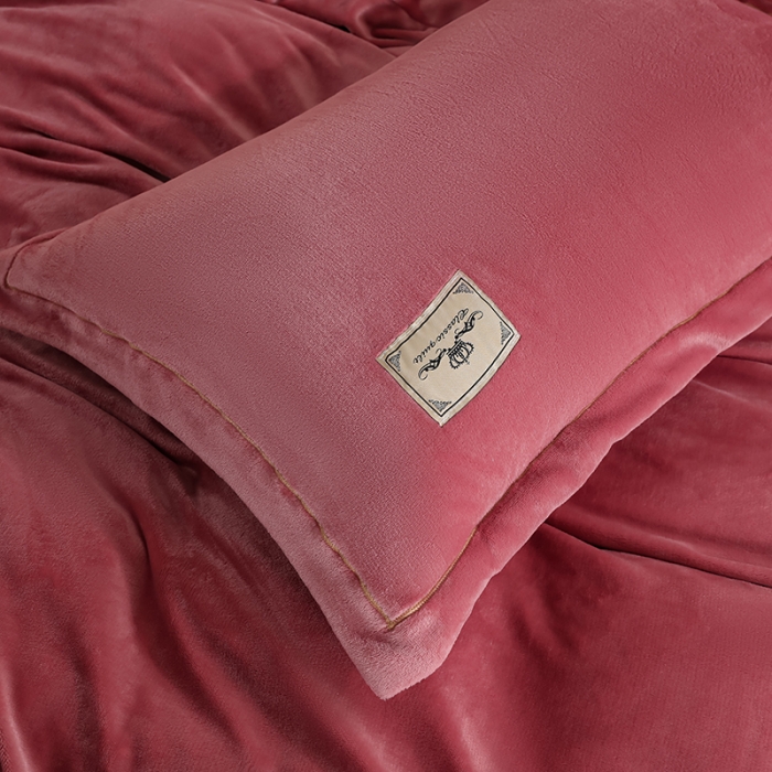 91家纺网 家纺一手货源 找家纺 畅畅 2023新款加厚260克全消光牛奶棉印花臻棉绒四件套 皮红