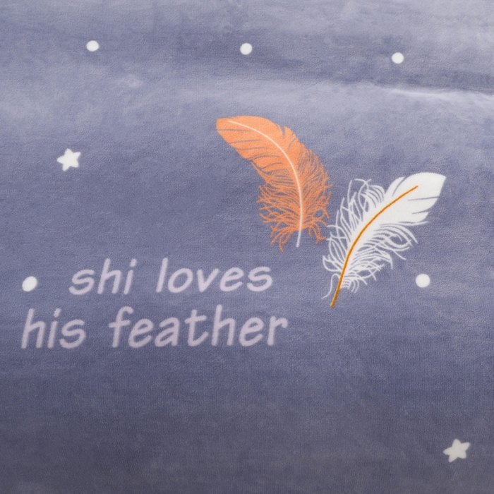 91家纺网 家纺一手货源 找家纺 畅畅 2023新款加厚260克全消光牛奶棉印花臻棉绒四件套 羽叶