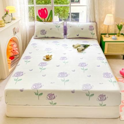 安哆啦家纺 2024新款高克重牛奶绒印花单床笠 紫色郁金香