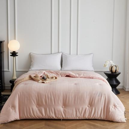 91家纺网 家纺一手货源 找家纺 总 馨宜 2023新款提花银离子抗菌蚕丝大豆被春秋被冬被二合一被