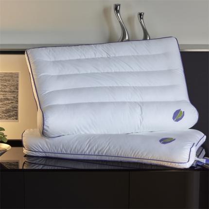 91家纺网 家纺一手货源 找家纺 （总）三味舒屋 2024新款褪黑素分区牵引枕