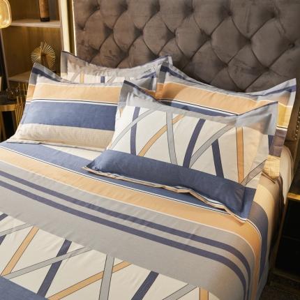 伊而梦 2023新款全棉磨毛印花四件套系列单品枕套 梦动之城-灰