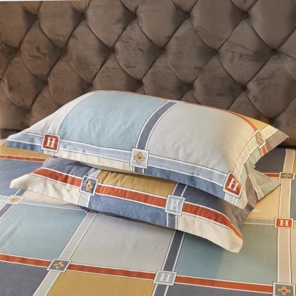 伊而梦 2023新款全棉磨毛印花四件套系列单品枕套 花语日记-蓝