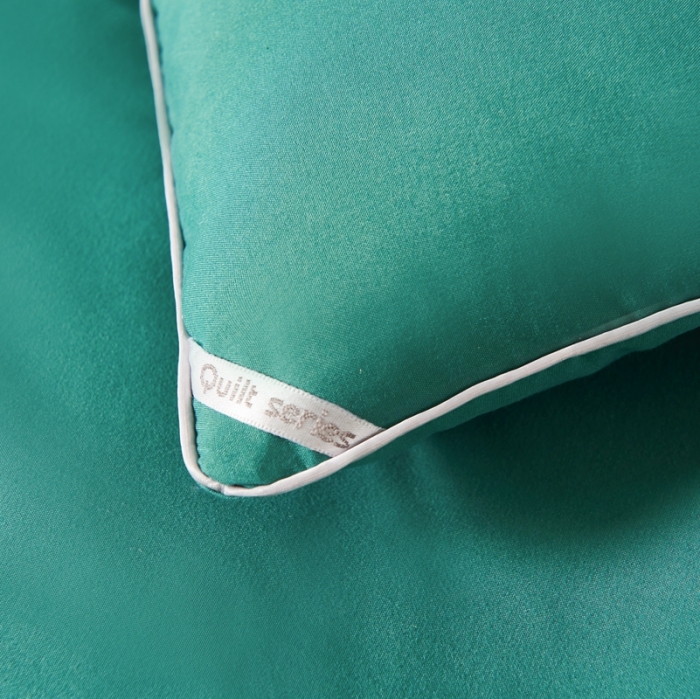 91家纺网 家纺一手货源 找家纺 畅畅家纺 2023新款抗菌纤维亲肤大豆冬被被子被芯 云母绿