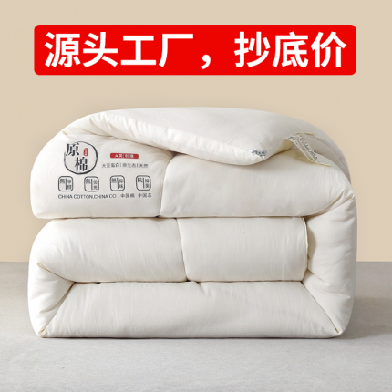 （总）中国龙 2023款A类母婴级日式原棉无染大豆被冬被被子被芯
