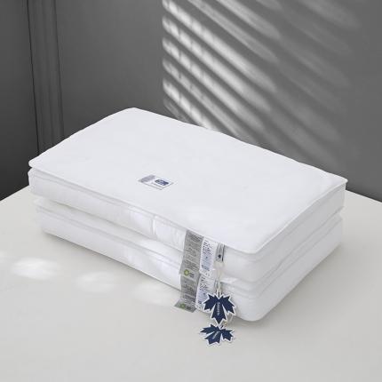 91家纺网 家纺一手货源 找家纺 觉物 新款ST酒店轻奢桑蚕丝复合枕--圣杜赛特系列