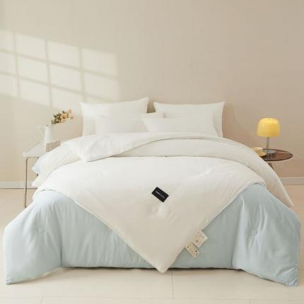 91家纺网 家纺一手货源 找家纺 （总）一加一 2025新款双拼贴标大豆子母被