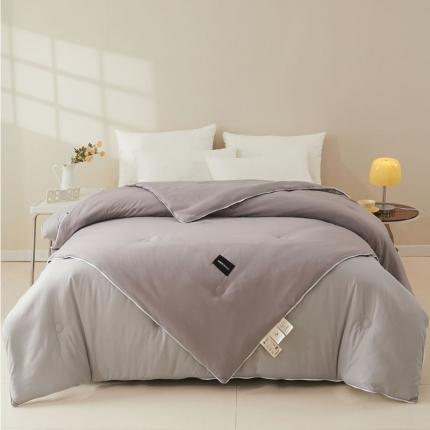 91家纺网 家纺一手货源 找家纺 一加一 2025新款双拼贴标大豆子母被 乌梅紫